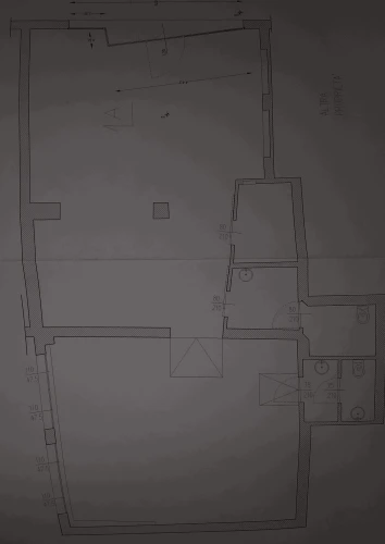 immagine-compressa-3.png